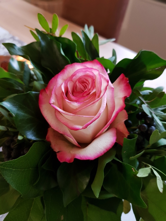 Mit dem hübschen Blumenstrauß und dem süßen Lindt Bärchen überraschte mich in dieser Woche meine Freundin.