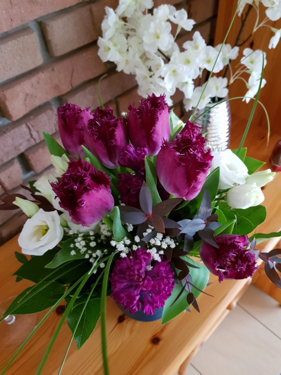 Tulpen wachsen in der Vase weiter