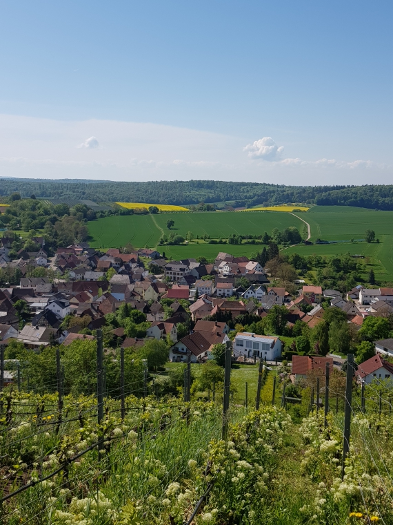 Weingebiet Östringen Tiefenbach