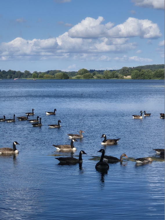 Urlaubsrückblick - Fotos aus Bad Segeberg und Lüneburg