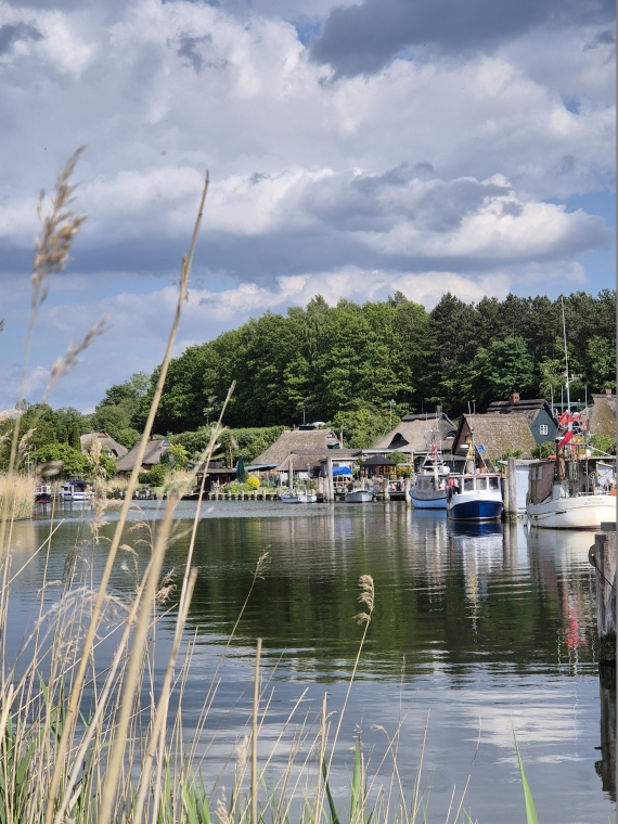 Gothmund Fischereihafen