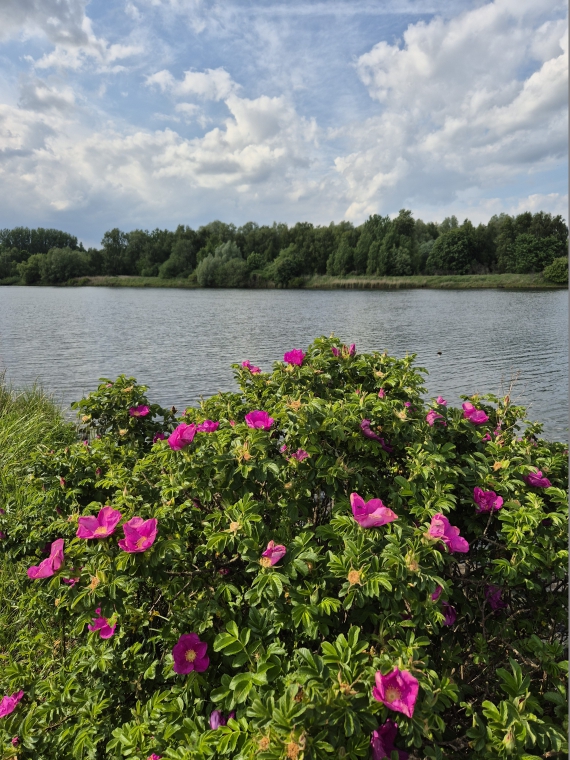Naturschutzgebiet Schellbruch