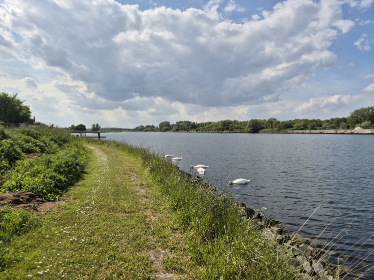 Spaziergang an der Trave