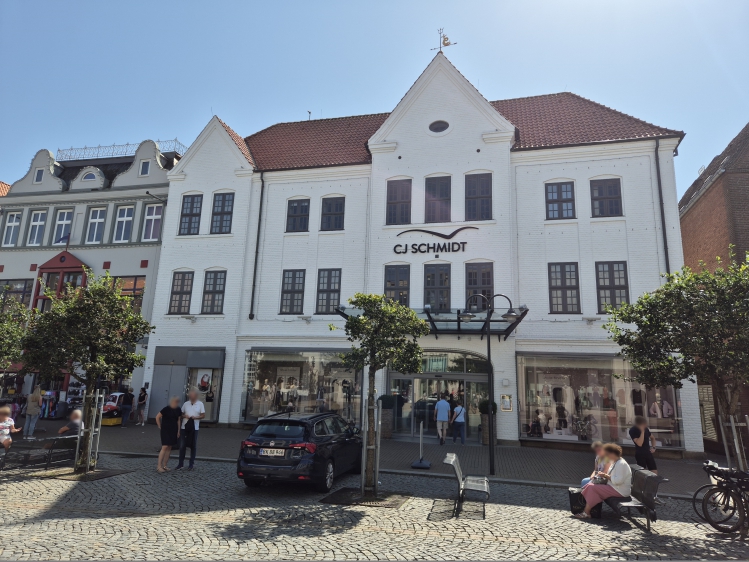 Die Stadt von Theodor Storm