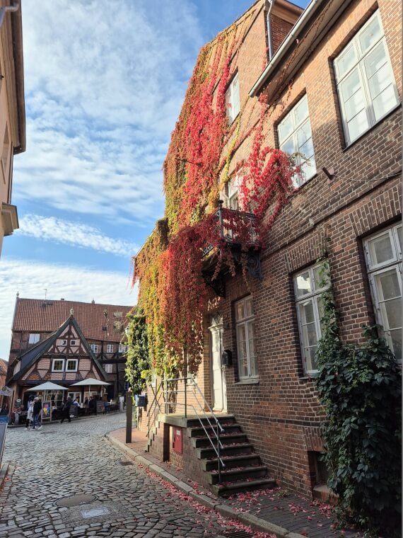 historische Fachwerkhäuser in Lauenburg