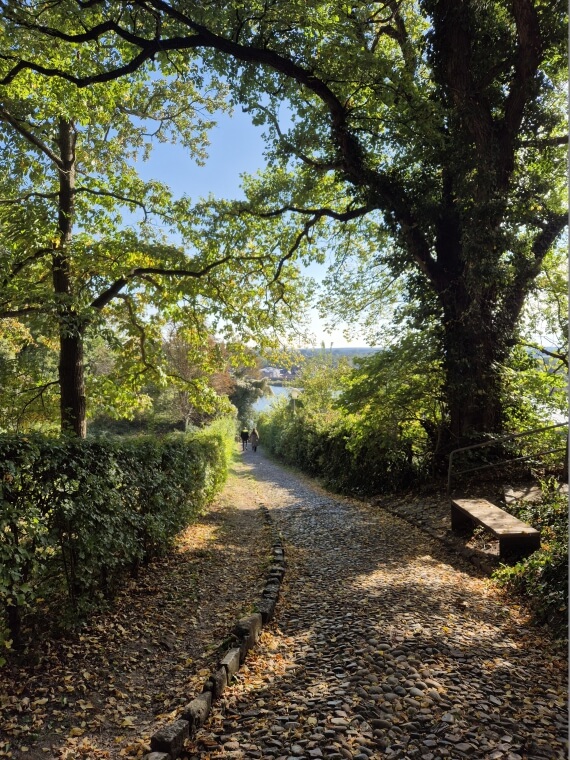 Wanderweg in Lauenburg